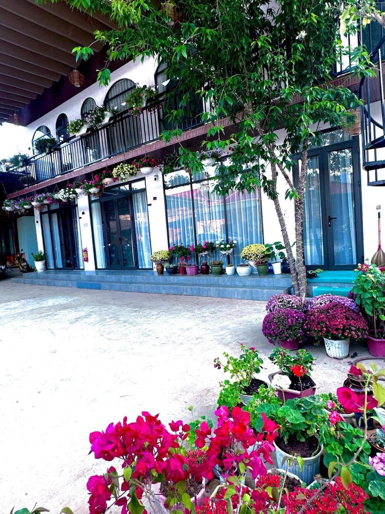 Bin House - Moc Chau Hotel Ngoại thất bức ảnh
