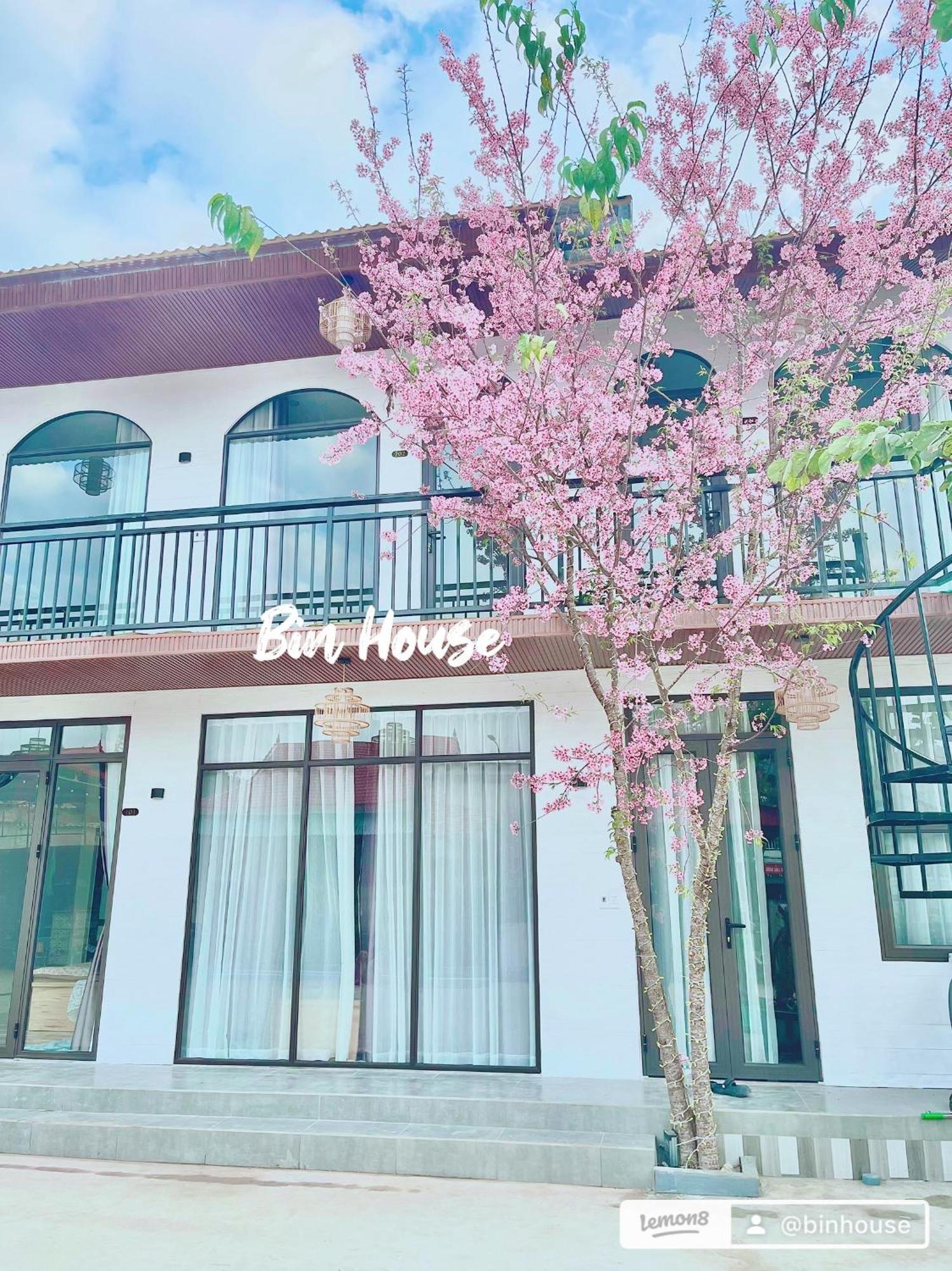 Bin House - Moc Chau Hotel Ngoại thất bức ảnh
