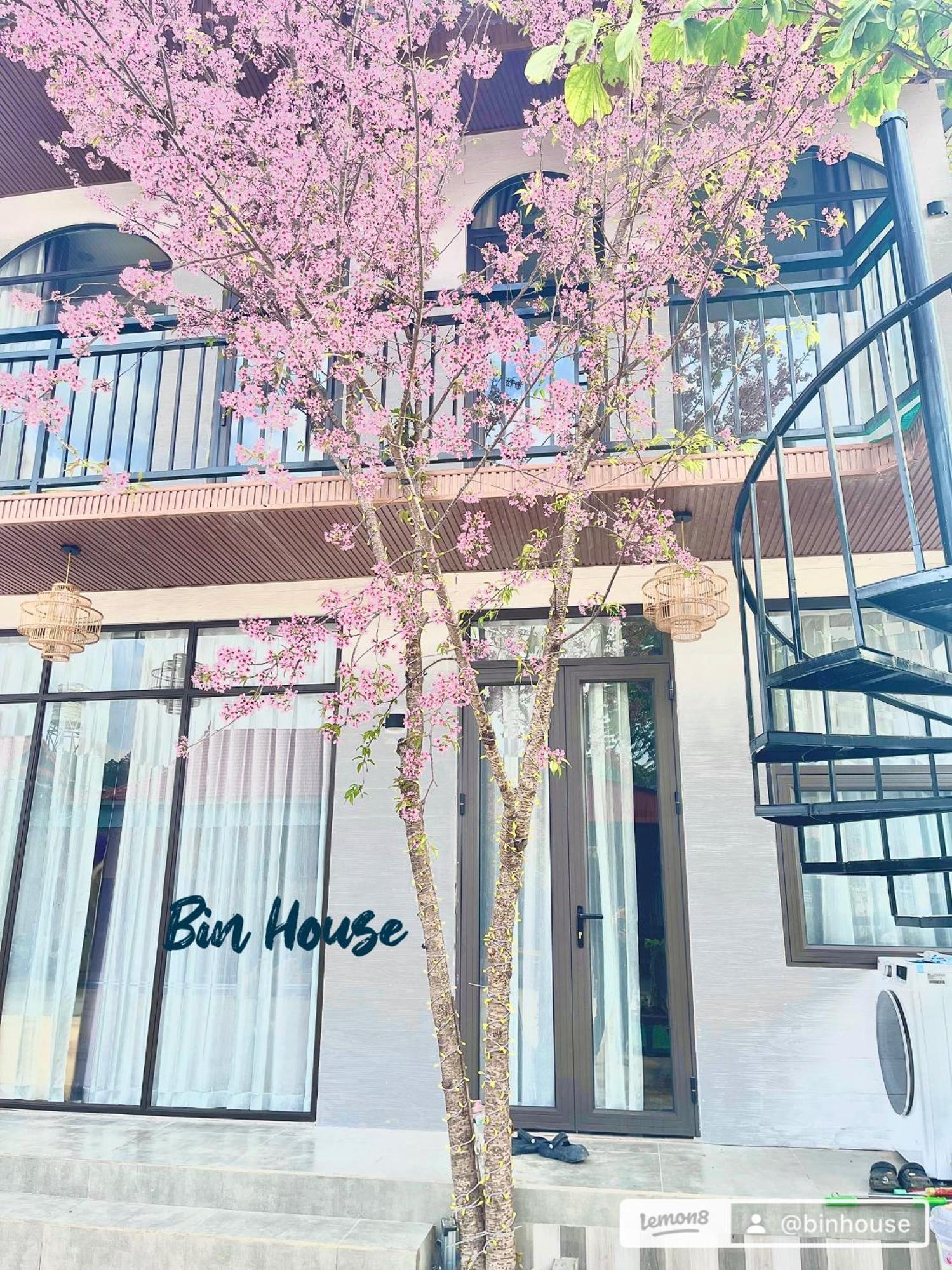 Bin House - Moc Chau Hotel Ngoại thất bức ảnh